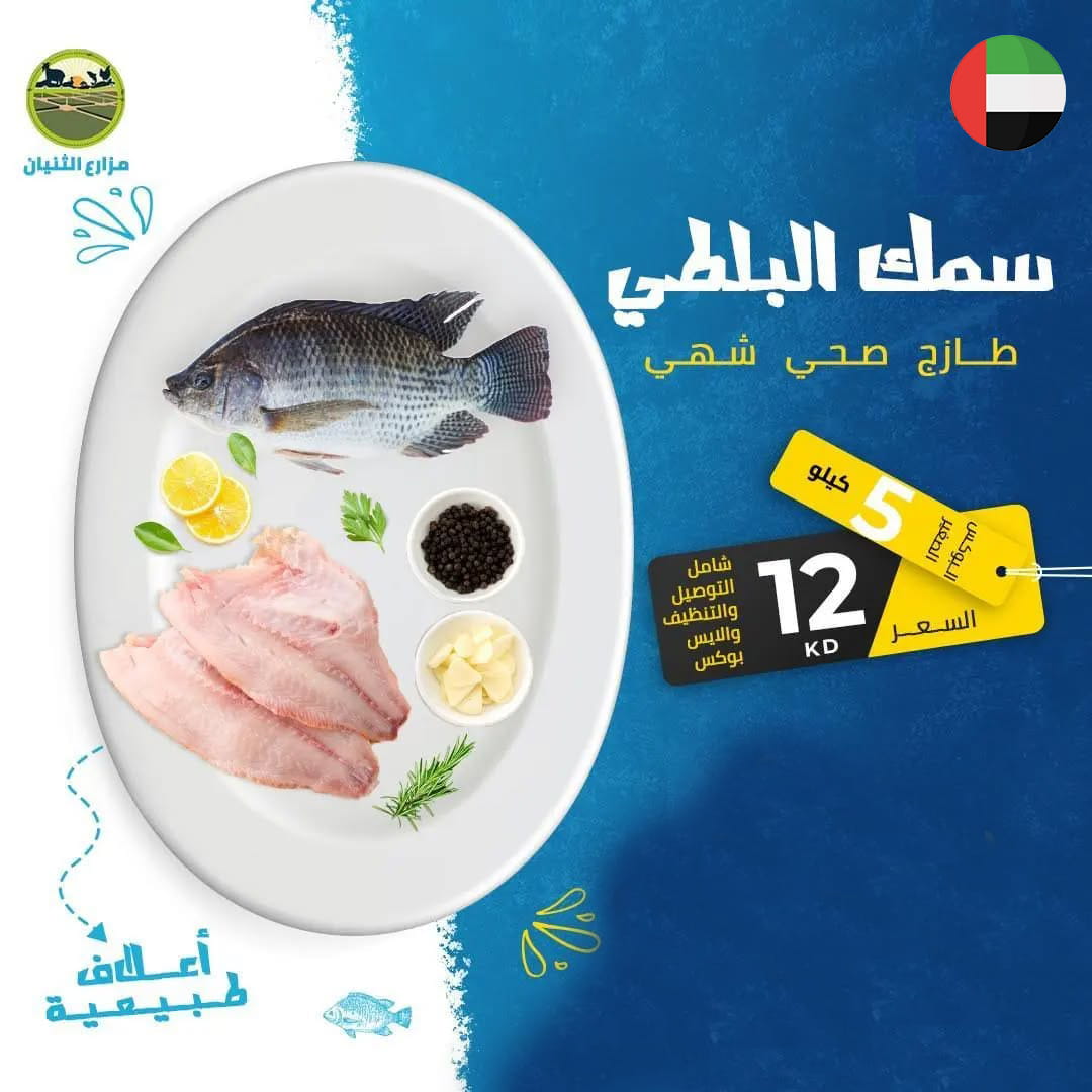 البوكس الصغير - سمك البلطي